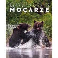 Album Bieszczadzcy mocarze - Walka niedźwiedzi