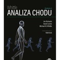 Analiza chodu