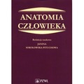 Anatomia człowieka