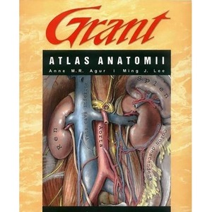 Atlas anatomii Grant