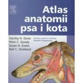 Atlas anatomii psa i kota