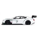 Bentley GT3 Performance RC 1:14