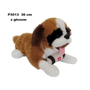 Bernardyn z głosem 36cm