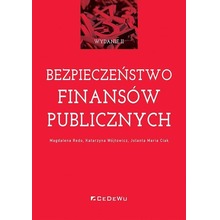 Bezpieczeństwo finansów publicznych w.2