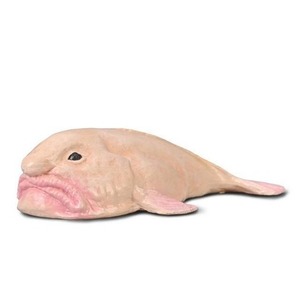 Blobfish