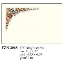 Box 100 Kartek 11,5x17cm FZN 206S