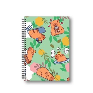 Brulion A5/80K kratka Kapibara łąka PENMATE