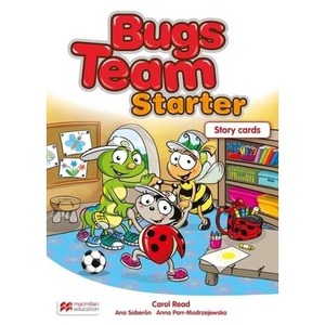 Bugs Team Starter. Storycards