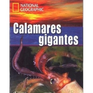 Calamares gigantes C1