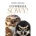 Co wiedzą sowy?