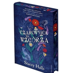 Czarownica ze wzgórza (ilustrowane brzegi)