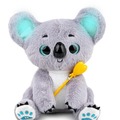 Czarujący Koala