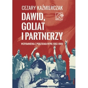 Dawid, Goliat i partnerzy