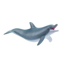 Delfin bawiący się