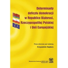 Determinanty deficytu demokracji w Republice...