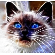 Diamentowa mozaika kot magic niebieskie oczy NO-1007109