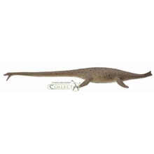 Dinozaur Thalassomedon