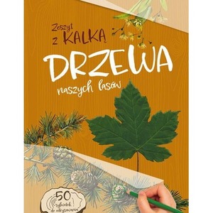 Drzewa naszych lasów. Zeszyt z kalką wyd. 2025