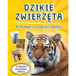 Dzikie zwierzęta. Koloruję i rysuję po śladzie