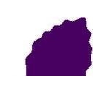 Dziurkacz ozdobny - Liść 7,6cm