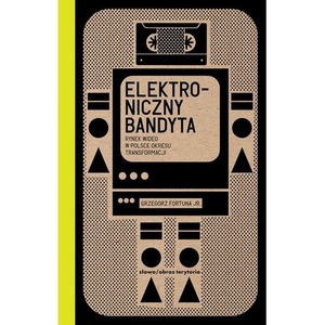 Elektroniczny bandyta. Rynek wideo w Polsce okresu transformacji