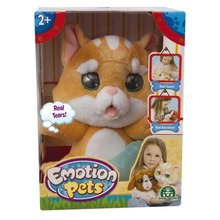 Emotion Pets - kotek