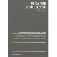 Finanse publiczne. Komentarz