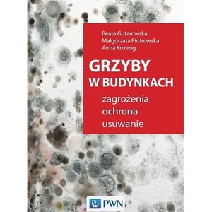 Grzyby w budynkach. Zagrożenia, ochrona, usuwanie.