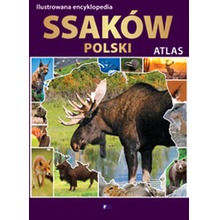 Ilustrowana encyklopedia ssaków Polski. Atlas