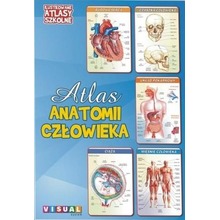 Ilustrowany atlas szkolny.Atlas anatomii człowieka
