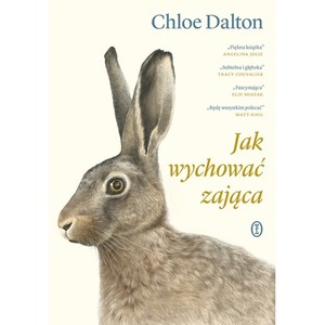 Jak wychować zająca