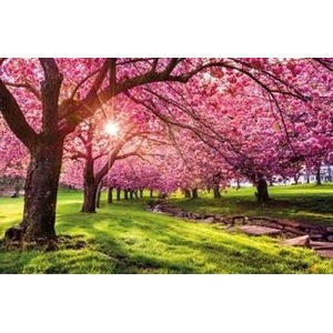 Kalendarz 2023 Ścienny Drzewa