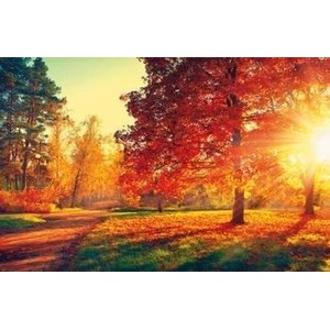 Kalendarz 2023 Ścienny Zachód