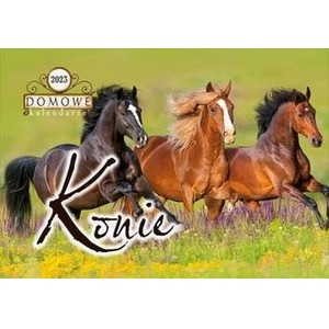 Kalendarz 2023 Konie