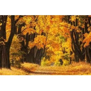 Kalendarz 2023 Trójdzielny