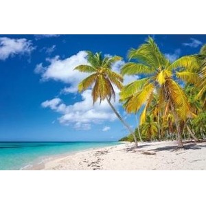 Kalendarz 2023 Trójdzielny Palma