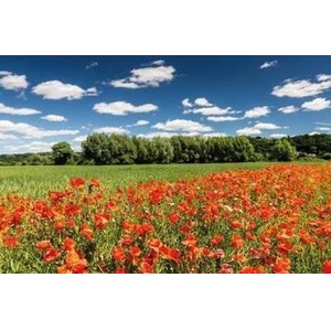 Kalendarz 2023 Trójdzielny Tatry