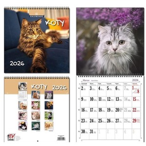 Kalendarz 2026 30x60 13 planszowy Koty