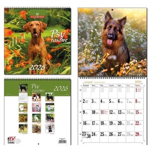 Kalendarz 2026 30x60 13 planszowy Psy Rasowe