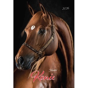 Kalendarz 2026 A3 Konie A3-2