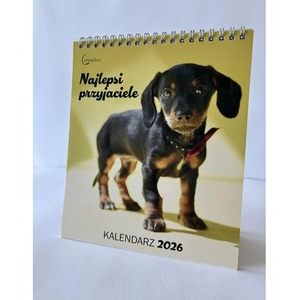 Kalendarz 2026 biurkowy Najlepsi przyjaciele Psy