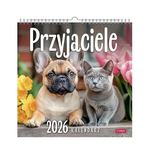 Kalendarz 2026  Przyjaciele kwadrat ścienny
