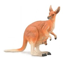 Kangur czerwony
