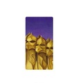 Karnet 12x23cm + koperta Gaudi Guer Casa Mila
