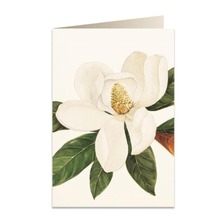 Karnet B6 + koperta 5601 Kwiat magnolii