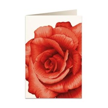 Karnet B6 + koperta 5676 Czerwona róża