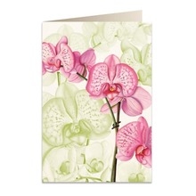 Karnet B6 + koperta 5722 Różowa orchidea