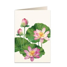 Karnet B6 + koperta 5930 Kwiat lotosu