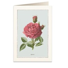 Karnet B6 + koperta 6019 Róża damasceńska