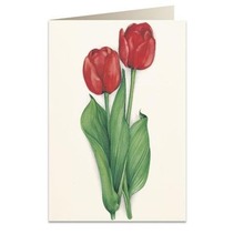 Karnet B6 + koperta 7517 Czerwone tulipany